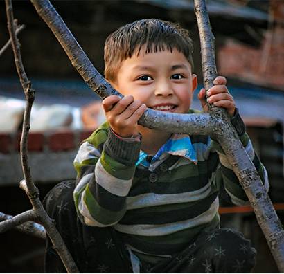 Environment & Livelihoods